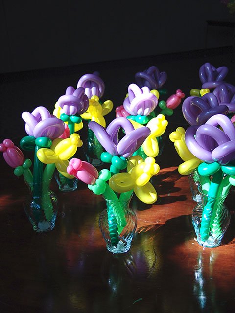 exotic-balloon-flowers-2